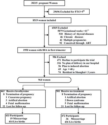 Effect of Levothyroxine on Pregnancy Outcomes in Pregnant Women With Hypothyroxinemia: An Interventional Study